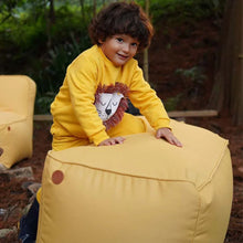 Carregar imagem no visualizador da galeria, 2 Puffs Fun
